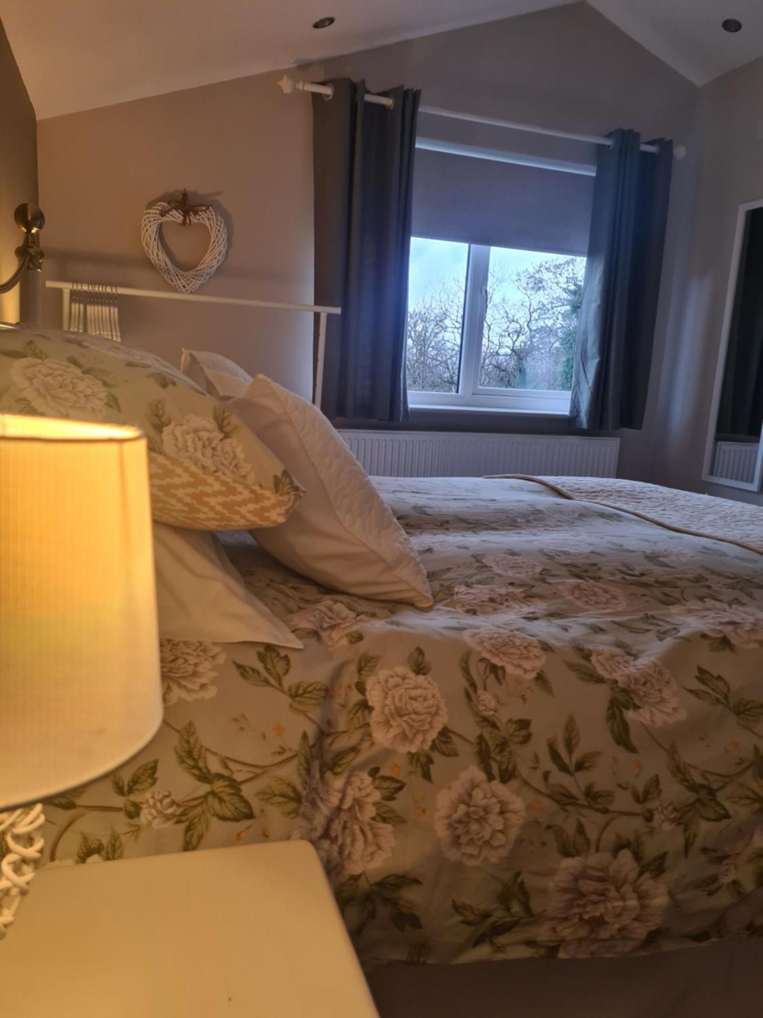 Ivy Lodge Letterkenny Εξωτερικό φωτογραφία